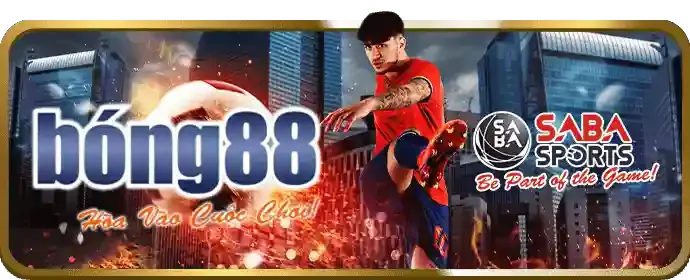 Các nguyên tắc vàng để cá cược thành công